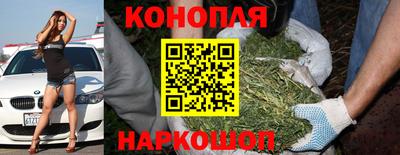 крисы Донской